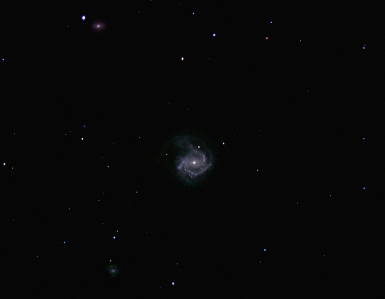 M61