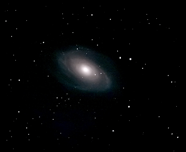 M81