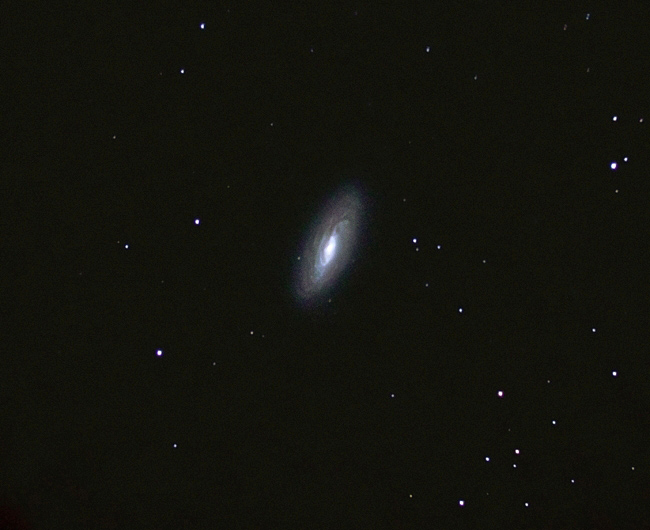 NGC5005