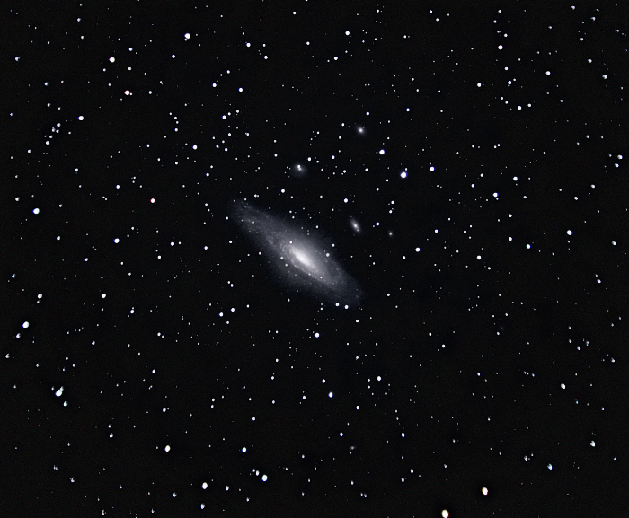 NGC7331