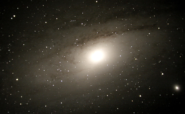 M31
