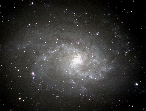 M33